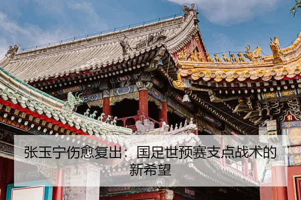 zhang-yu-ning-shang-yu-fu-chu-guo-zu-shi-yu-sai-zhi-dian-zhan-shu-de-xin-xi-wang-2-451.jpg