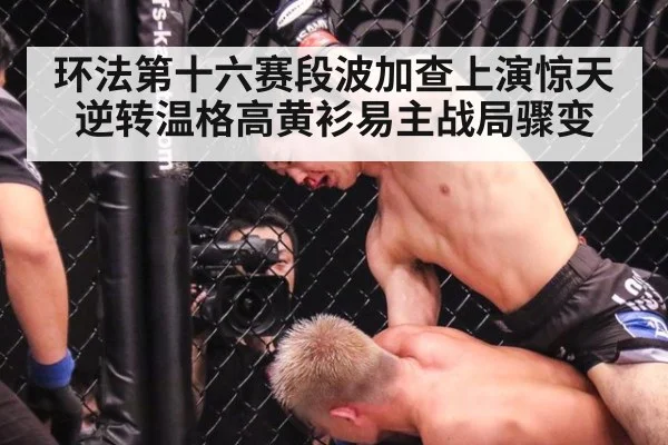 环法第十六赛段波加查上演惊天逆转温格高黄衫易主战局骤变